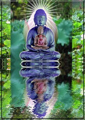 Reflections in a pool